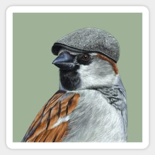 House sparrow Sticker